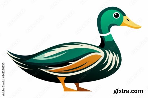 Duck Different Style Vector Illustration Line Art 6xSVG