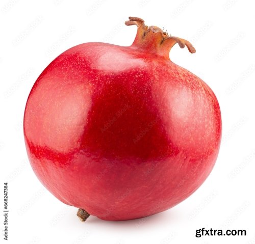 Pomegranate Isolated On A White Background 16xJPEG