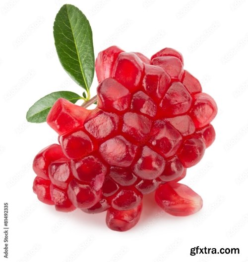 Pomegranate Isolated On A White Background 16xJPEG