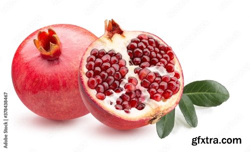 Pomegranate Isolated On A White Background 16xJPEG