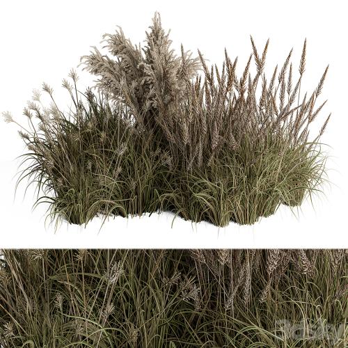 Pampas Plant Bush Set 96