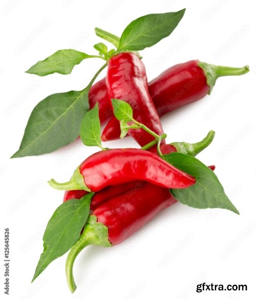 Chilly Pepper Isolated On A White Background 2 21xJPEG