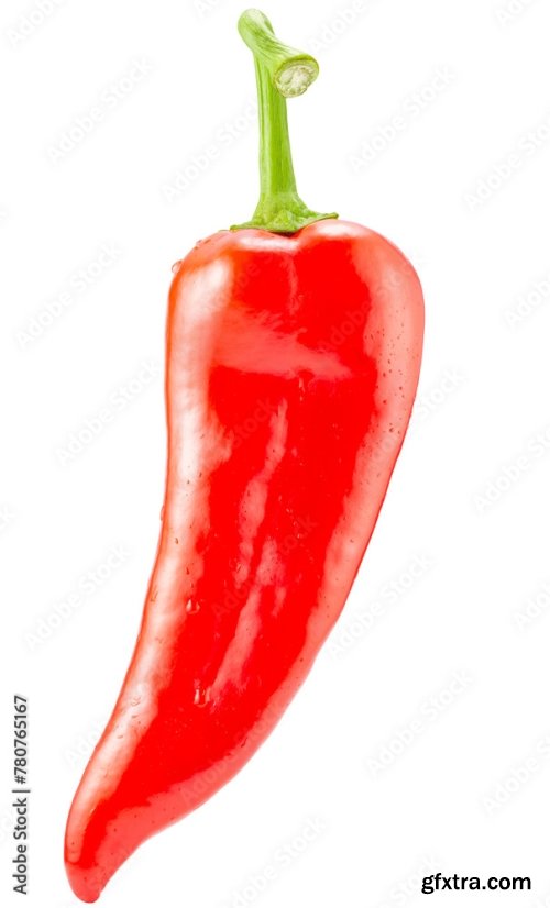 Chilly Pepper Isolated On A White Background 2 21xJPEG