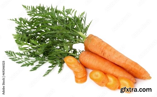 Carrot Isolated On A White Background 5xJPEG