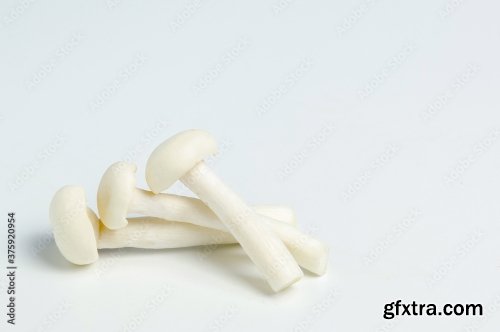 White Beech Mushrooms Or Shimeji Mushroom 10xJPEG