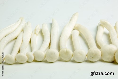 White Beech Mushrooms Or Shimeji Mushroom 10xJPEG