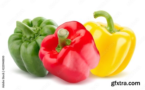 Red Yellow And Green Pepper Isolated On A White Background 7xJPEG