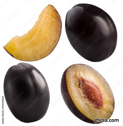 Plums Isolated On A White Background 10xJPEG