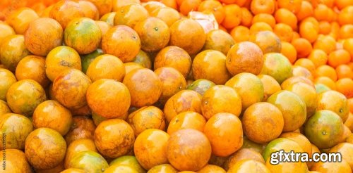 Fresh And Ripe Oranges Fruit Photo 11xJPEG