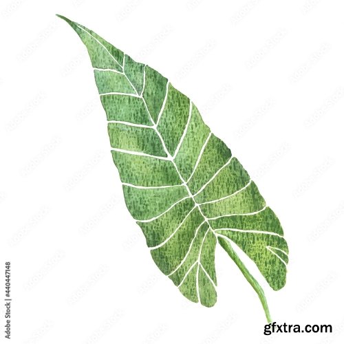 Watercolor Of Tropical Yellow Leaf 9xAI