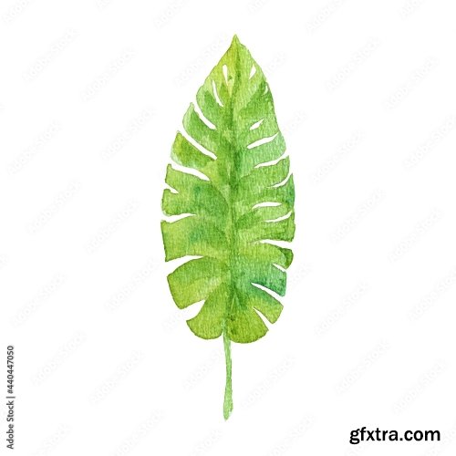 Watercolor Of Tropical Yellow Leaf 9xAI