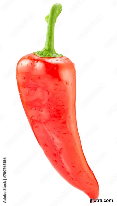 Chilly Pepper Isolated On A White Background 3 17xJPEG