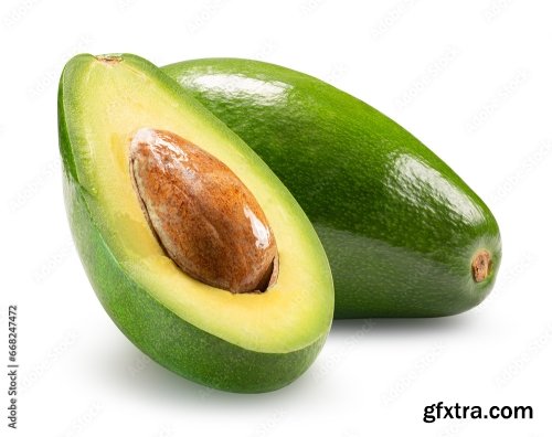 Avocado Isolated On A White Background 2 15xJPEG