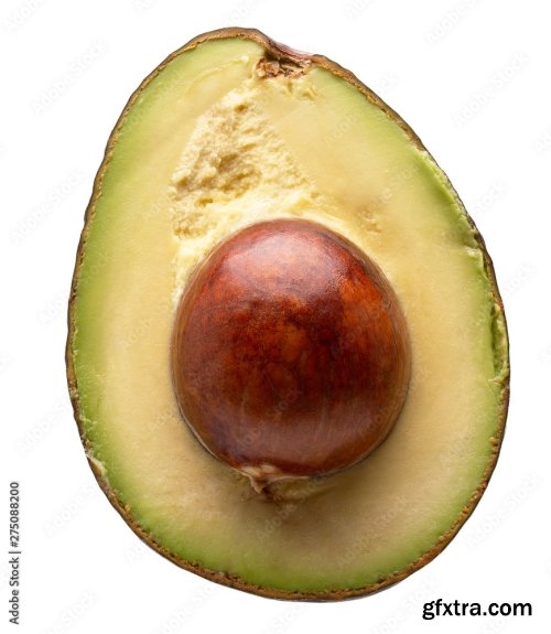 Avocado Isolated On A White Background 2 15xJPEG