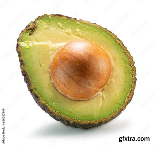 Avocado Isolated On A White Background 15xJPEG