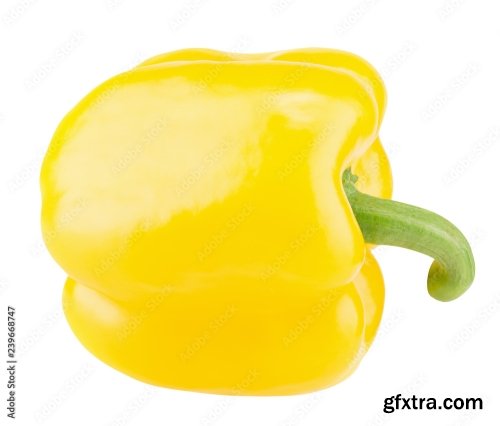 Yellow Pepper Isolated On A White Background 19xJPEG