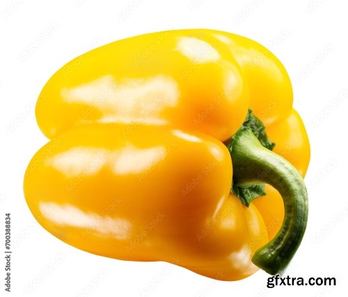 Yellow Pepper Isolated On A White Background 19xJPEG