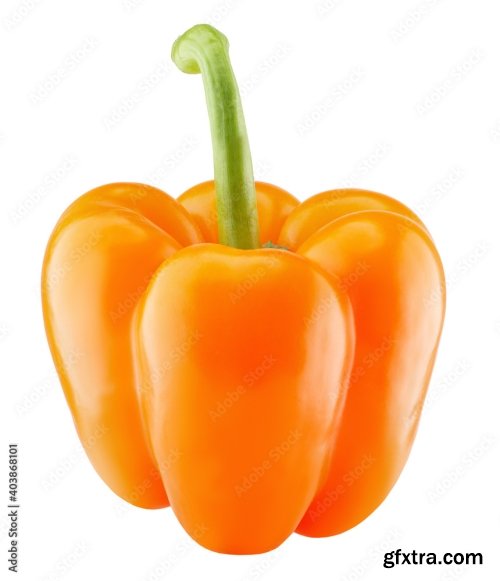 Yellow Pepper Isolated On A White Background 19xJPEG