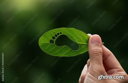 Hand Of Human Is Holding Green Leaf 10xJPEG