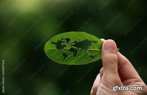 Hand Of Human Is Holding Green Leaf 10xJPEG