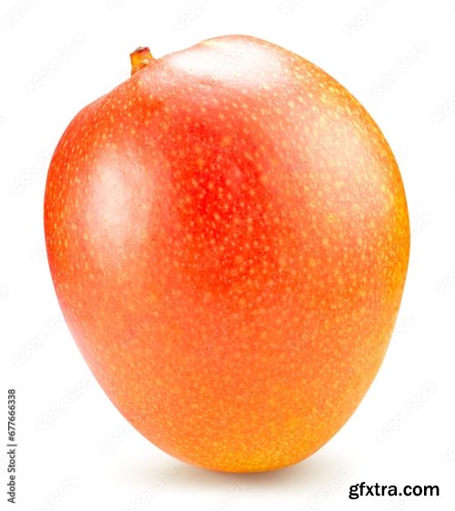 Mango Isolated On A White Background 19xJPEG