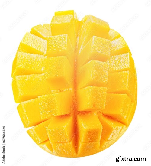 Mango Isolated On A White Background 19xJPEG