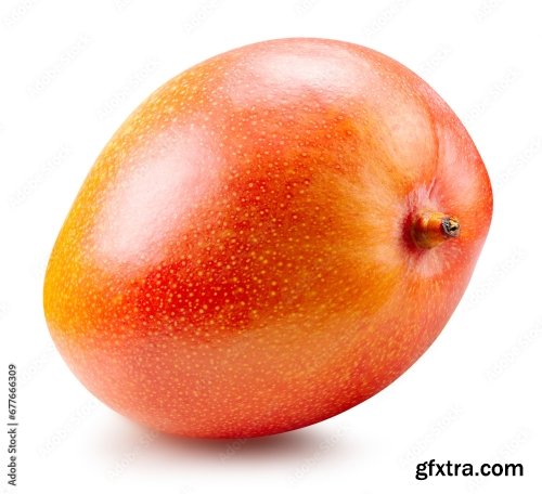 Mango Isolated On A White Background 19xJPEG