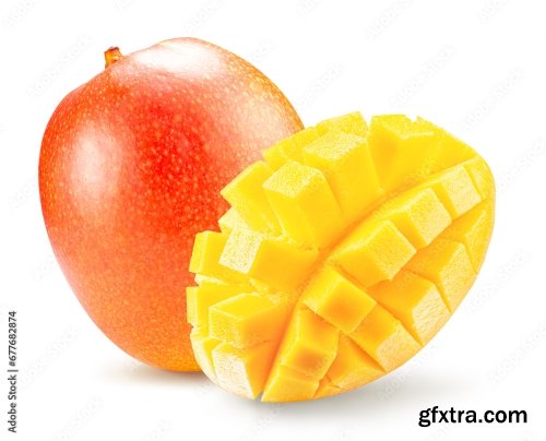 Mango Isolated On A White Background 19xJPEG