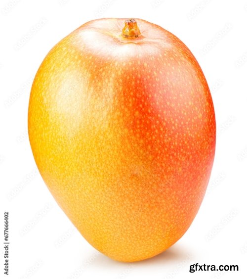 Mango Isolated On A White Background 19xJPEG