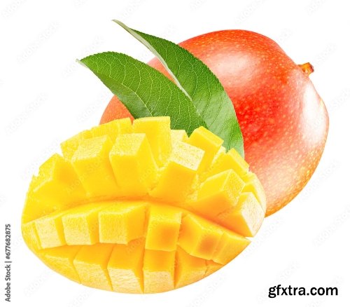 Mango Isolated On A White Background 19xJPEG