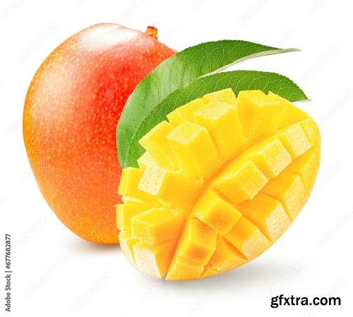 Mango Isolated On A White Background 19xJPEG