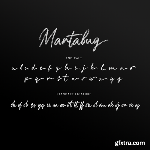 Martabug - Handwritten Brush Font TCMKXW5