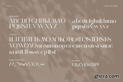 Norger Modern Elegant Serif Font Typeface 78J8VFL