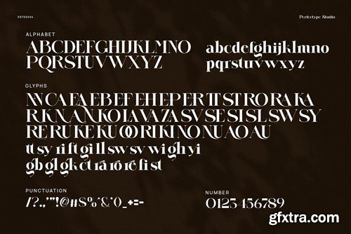 Glemiro Modern Elegant Serif Font Typeface 5V3K68Y