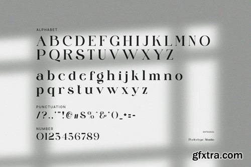 Cligne Modern Elegant Serif Font Typeface RRTW9B4