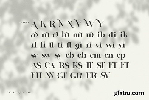 Lugife Modern Elegant Serif Font Typeface 42RTHA4