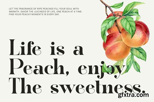 The Fongka Modern Elegant Serif Font Typeface XY56SYS