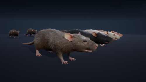 UnrealEngine - Mouse