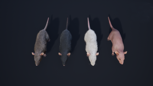 UnrealEngine - Mouse