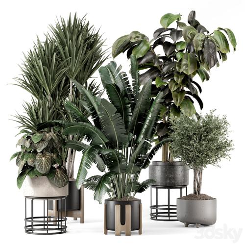 Indoor Plants in Ferm Living Bau Pot Large - Set 1351