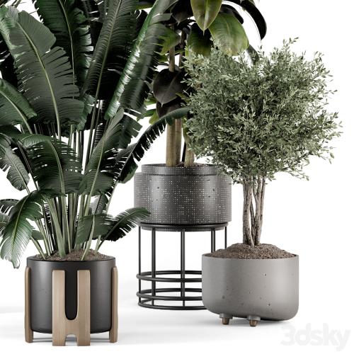 Indoor Plants in Ferm Living Bau Pot Large - Set 1351