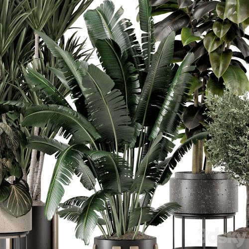 Indoor Plants in Ferm Living Bau Pot Large - Set 1351