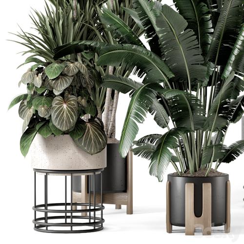 Indoor Plants in Ferm Living Bau Pot Large - Set 1351