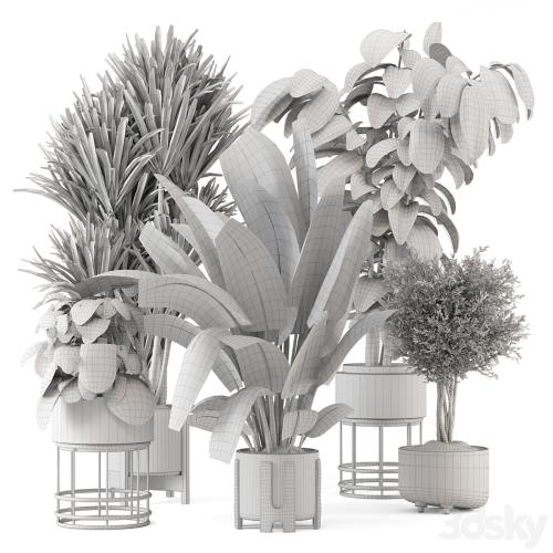 Indoor Plants in Ferm Living Bau Pot Large - Set 1351