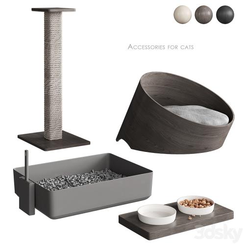 Accessories for cats NG1