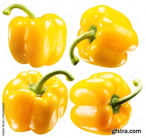 Yellow Pepper Isolated On A White Background 3 16xJPEG