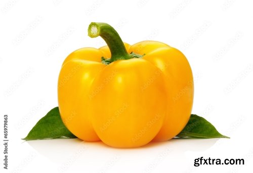 Yellow Pepper Isolated On A White Background 3 16xJPEG