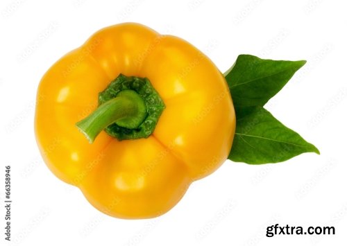 Yellow Pepper Isolated On A White Background 3 16xJPEG