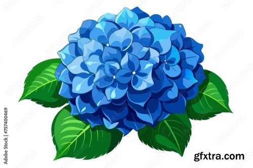 Blue Hydrangea Flower Vector Art Illustration 6xSVG