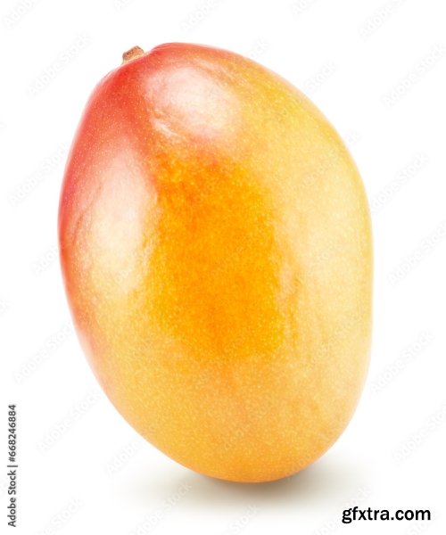 Mango Isolated On A White Background 2 20xPNG